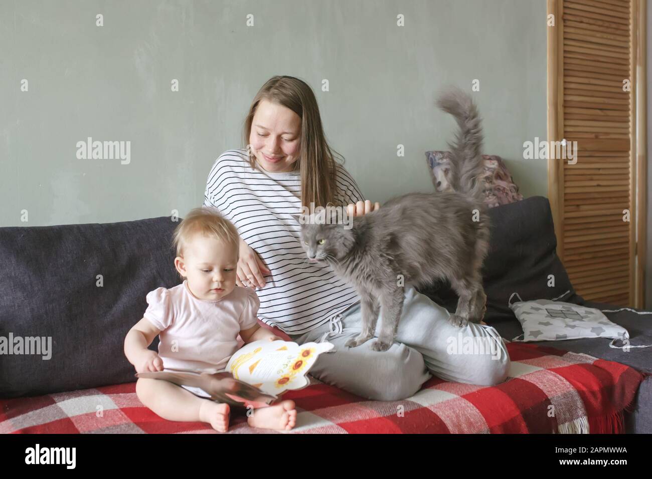 Young caucasian beautiful mother sitting on a couch at home in casual clothes watching her sweet baby reading a child`s book, smiling, stroking a cat, Stock Photo